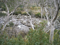 jindabyne 3.jpg